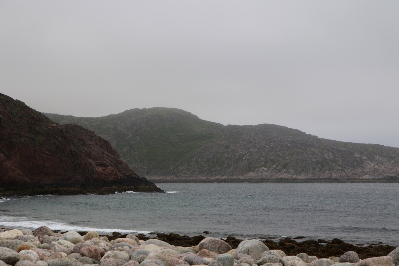    © Maksim Konstantinov/Globallookpress