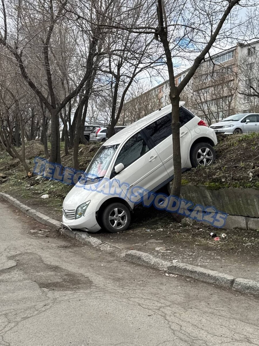     Источник: Svodka25