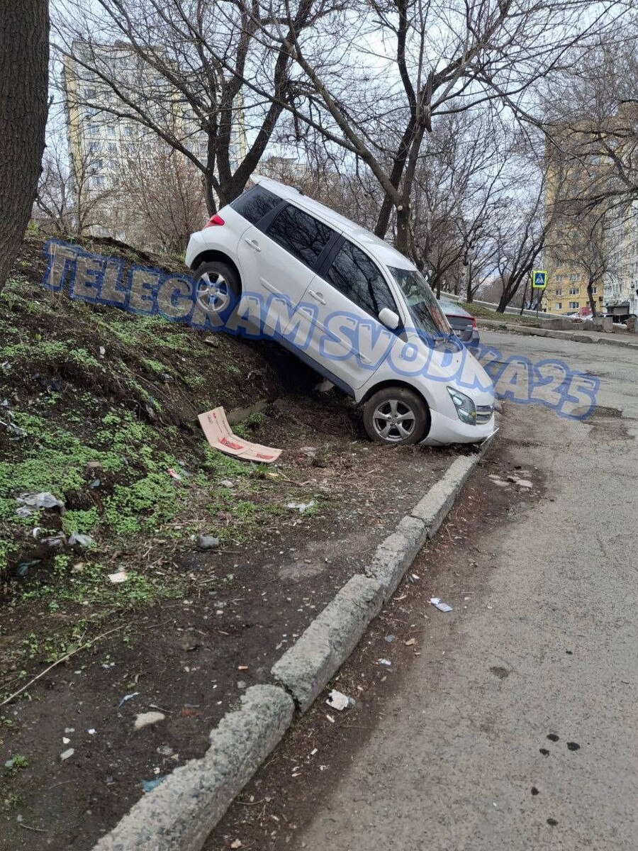     Источник: Svodka25