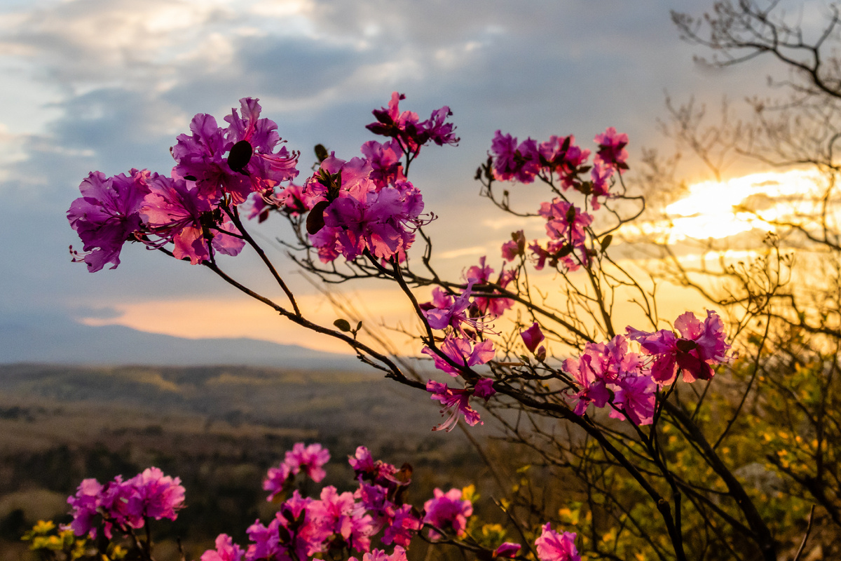 Фотография сделана на сопке Змеинка