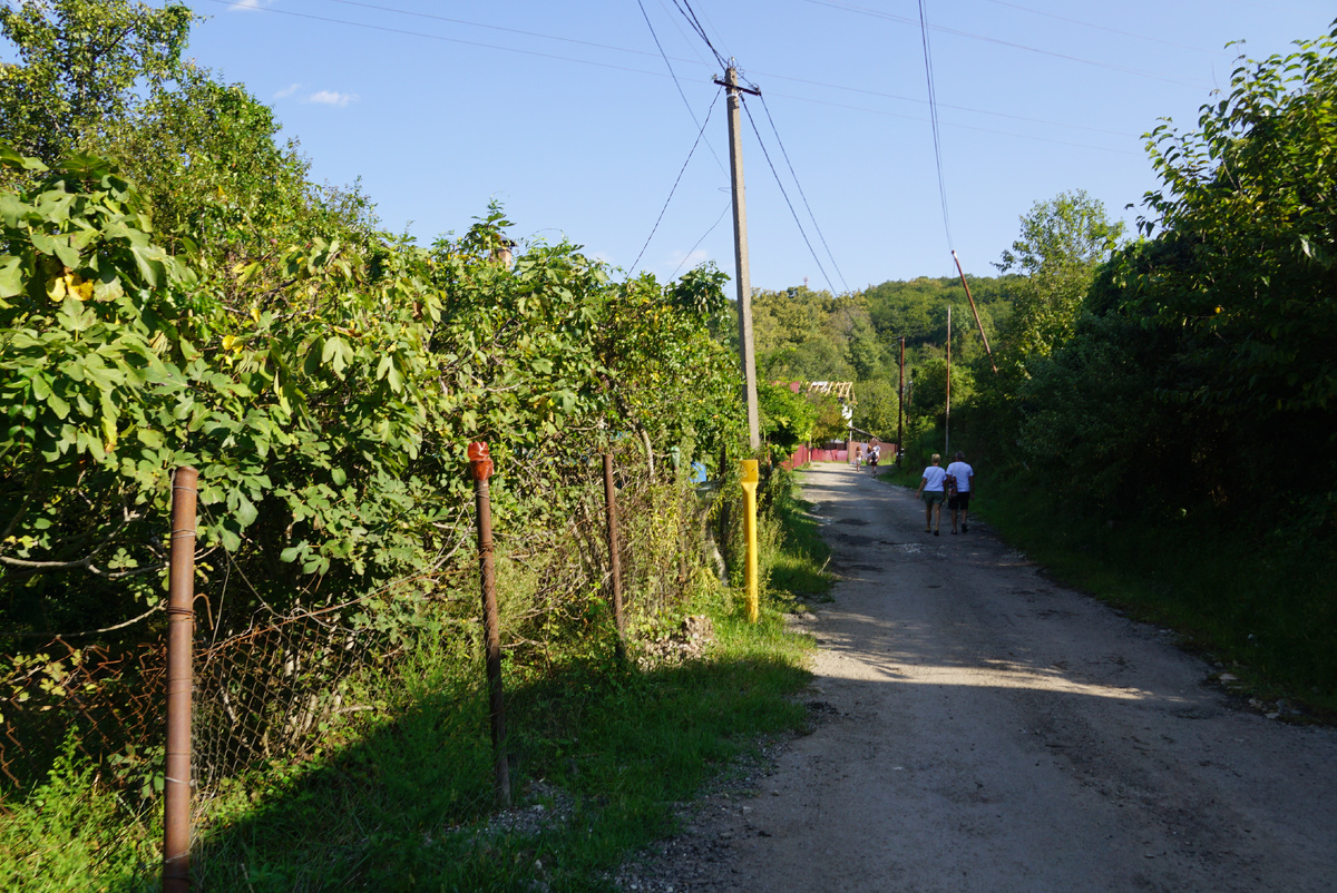 Дорога от автобусной остановки до кассы Заповедника.все фото подборки сделаны автором публикации