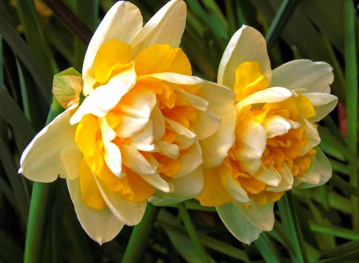 Фото из интернета