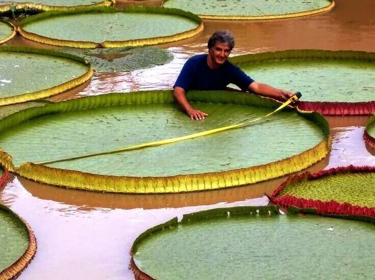 Фото из интернета