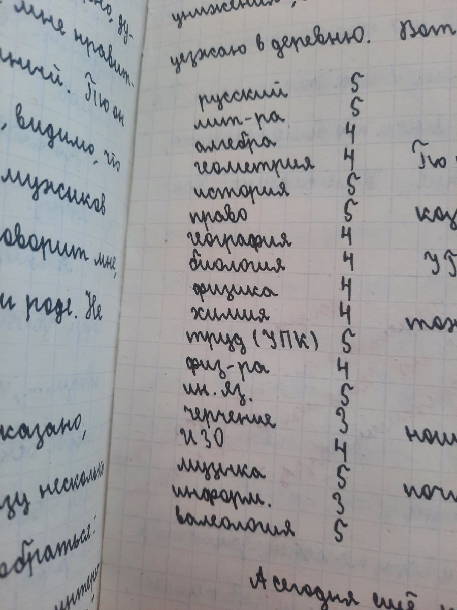 Из личного дневника автора. 