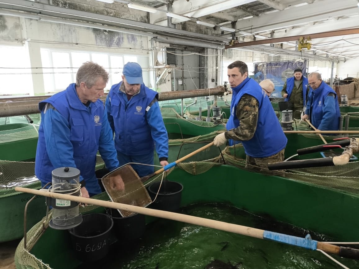 
Фото: пресс-служба ФГБУ «Главрыбвод»