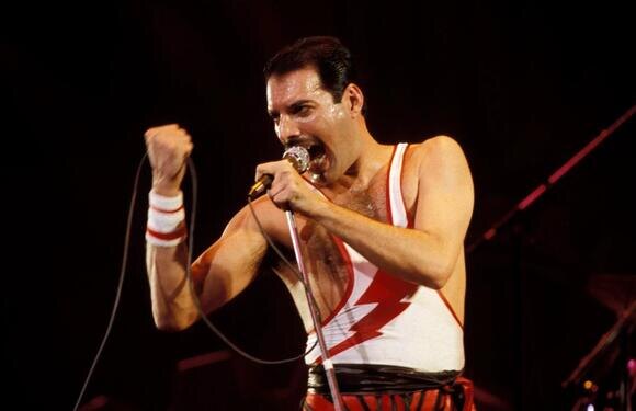 FREDDIE MERCURY: СЕСТРА ВЫКУПИЛА ЧАСТЬ ВЕЩЕЙ БРАТА
