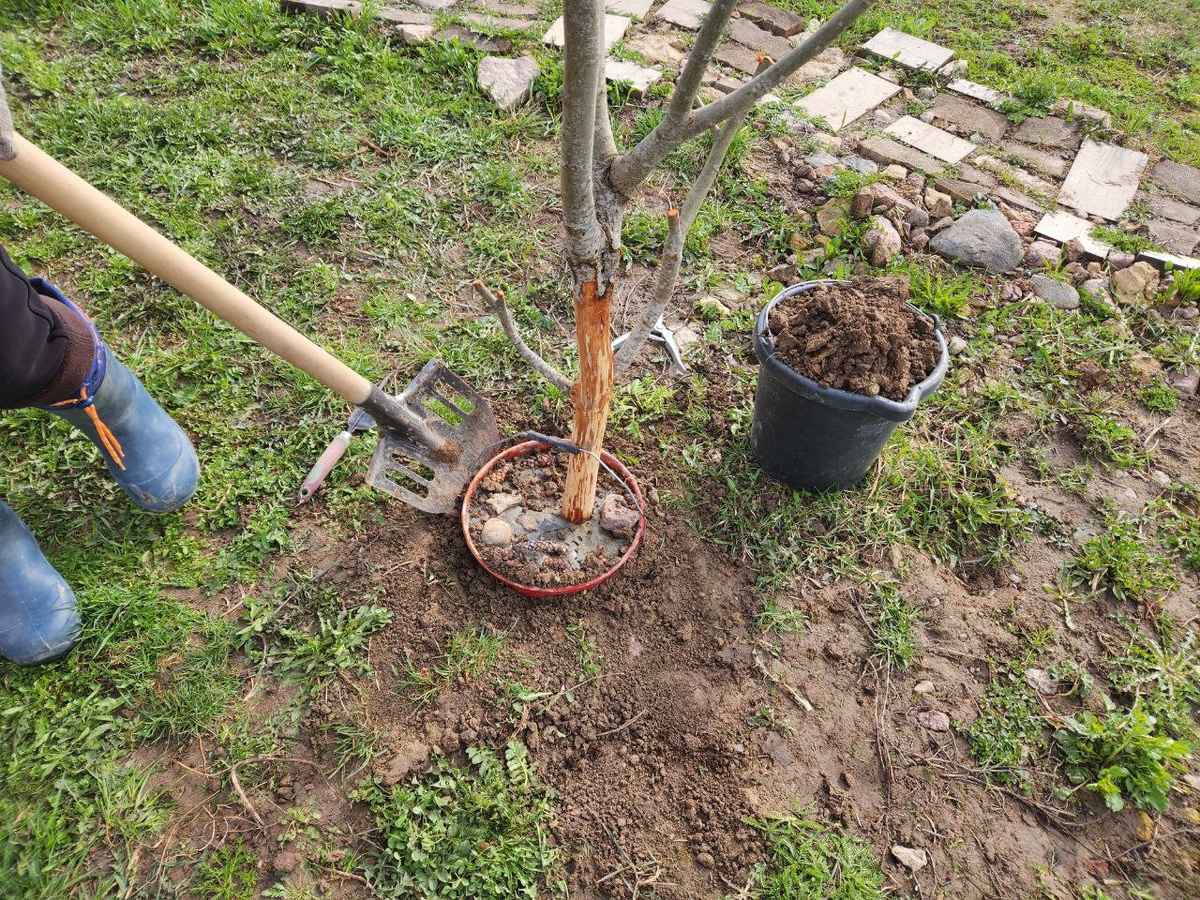 Закапываю ведро в центр предполагаемой клумбы