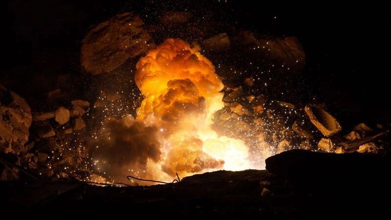    Фото: Michal Zduniak/Shutterstock/Fotodom