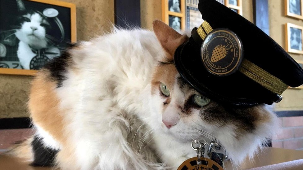 Тама в униформе