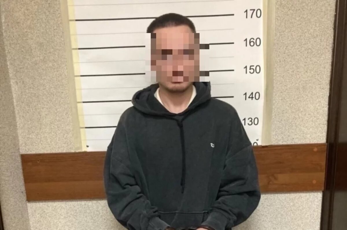    В Петербурге поймали курьера мошенников, забравшего у жертвы 1,3 млн