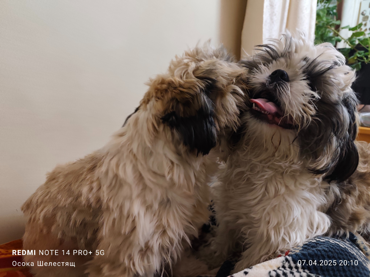 Разве можно мотреть на это без улыбки и умиления? Отдыхая душой. Забывая о проблемах.