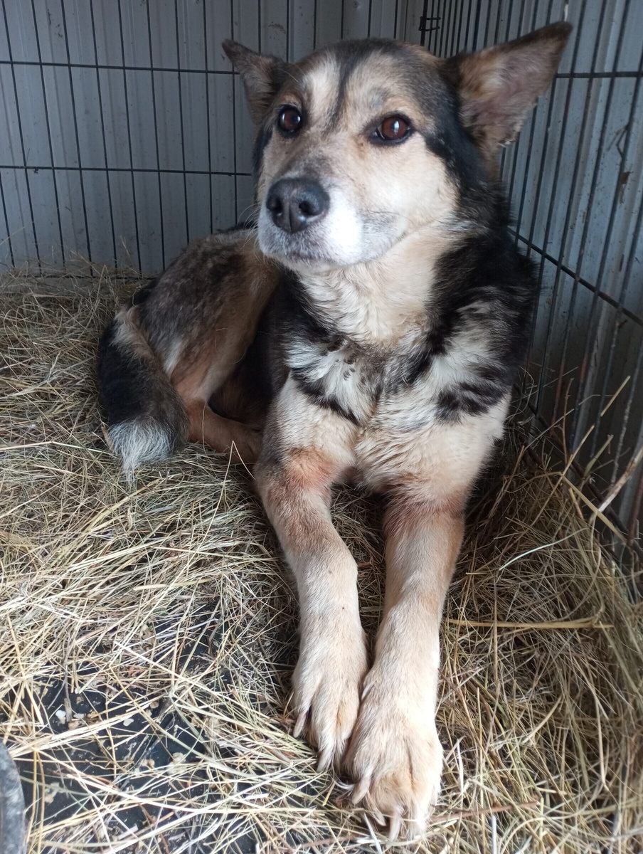 Зефирка или Земфирка)