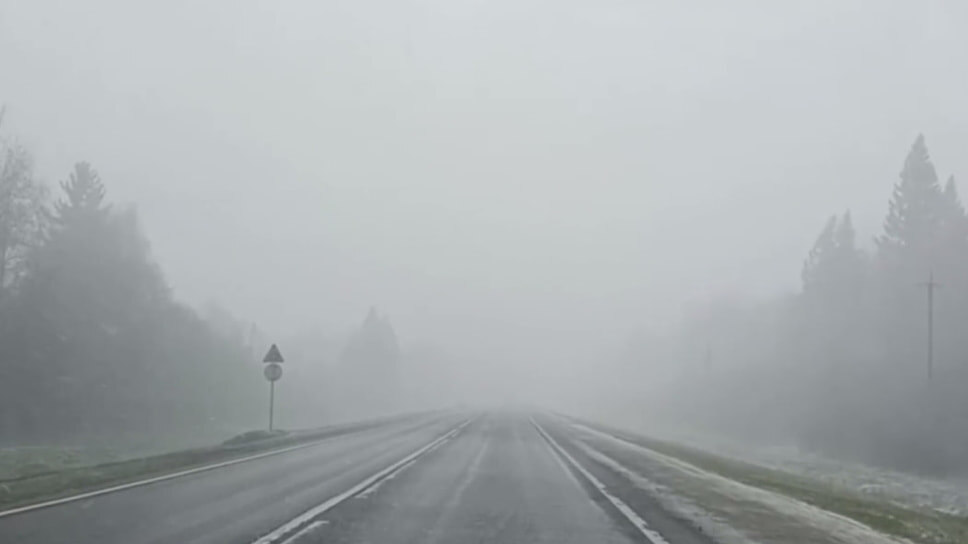 Фото: Вести.Ярославль