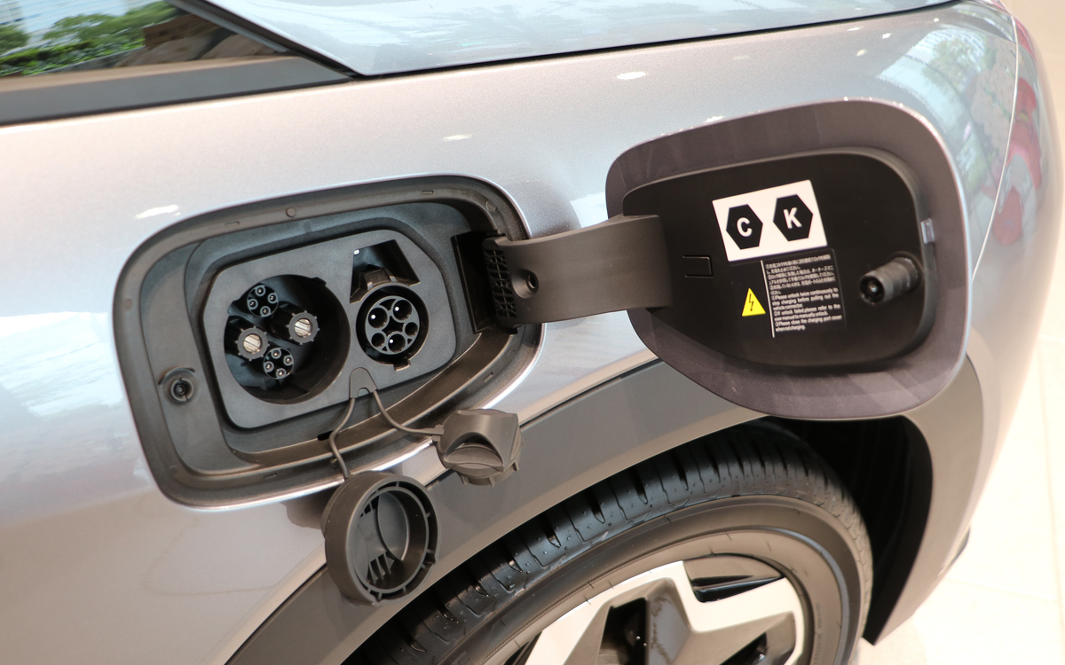 BYD Dolphin: CHAdeMO + Type 1