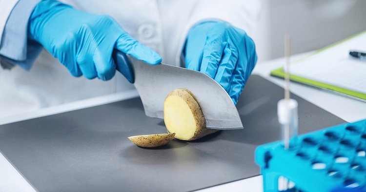    Какая картошка лучше варится, узнайте в Международный день варки картофеля!