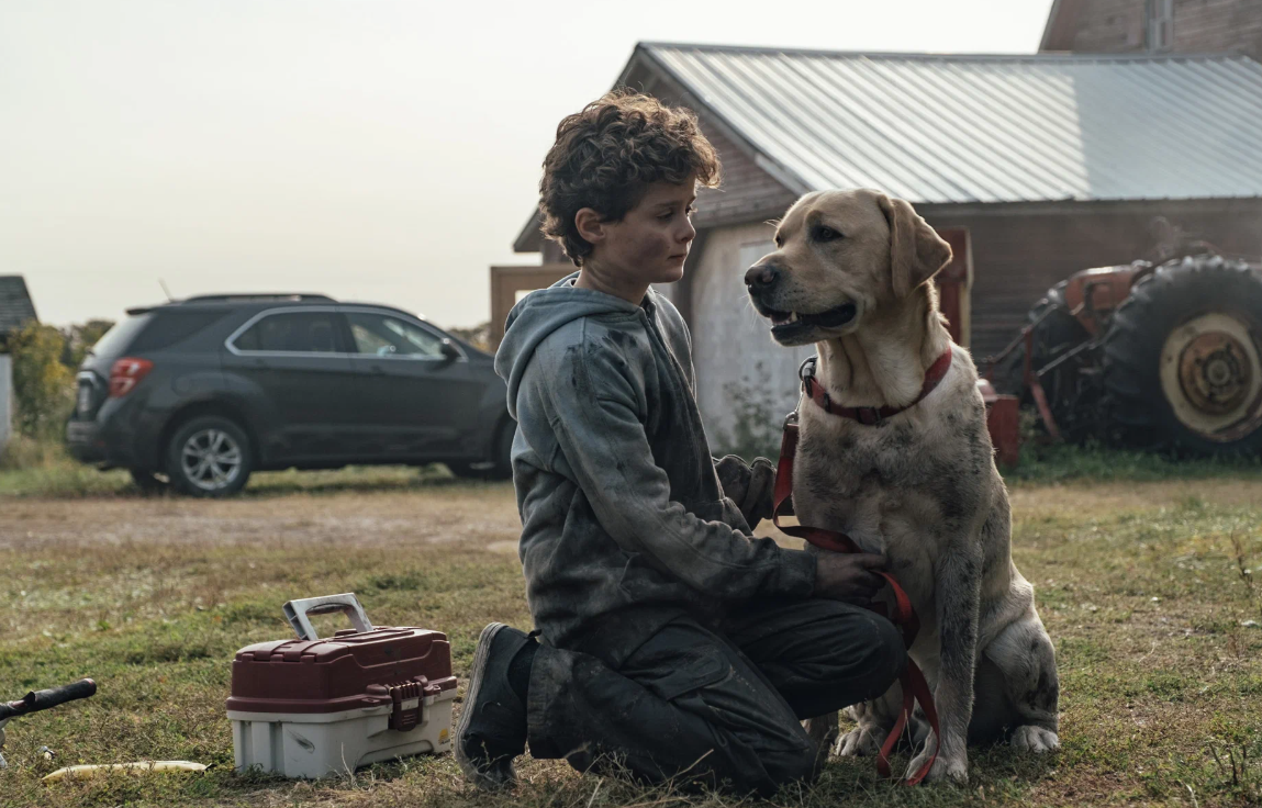 Кадр из фильма