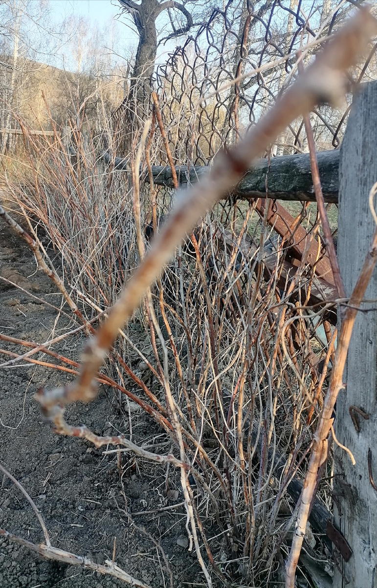 Вот как-то так.