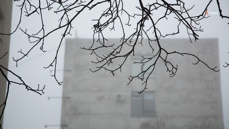      Фото: Валерия Алтухова / / ИА «Победа26»