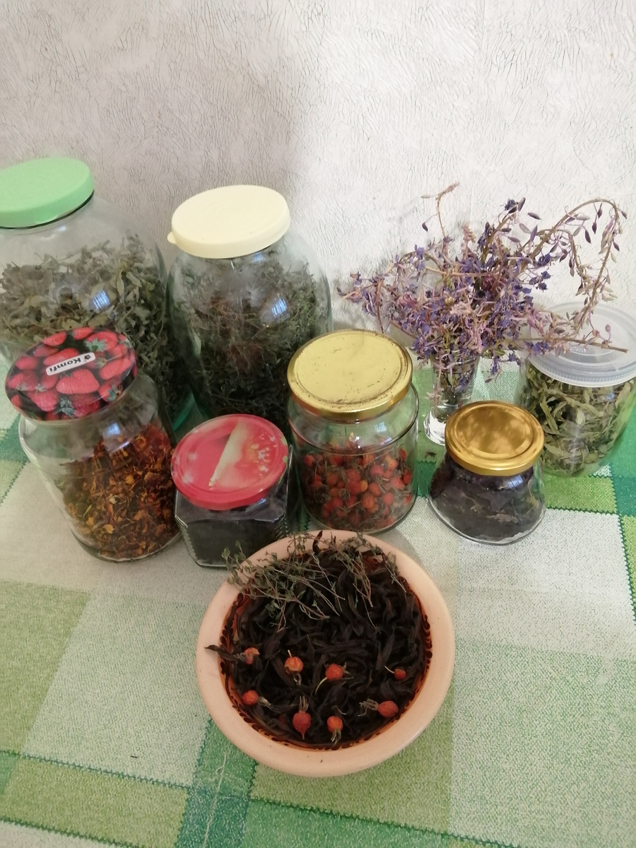 Некоторые из трав к чаепитию