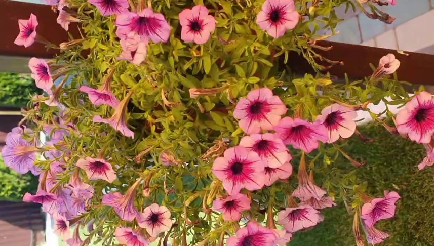 Фото из личного архива