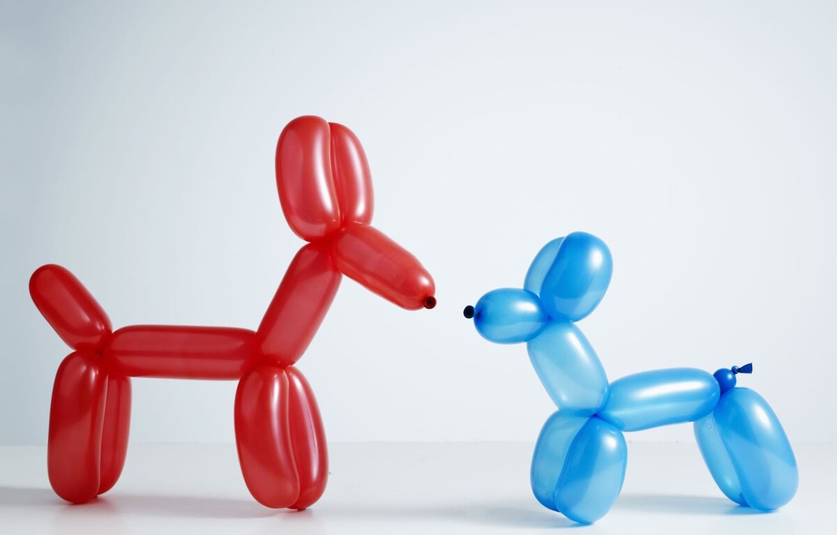 Раздутый воздухом кишечник напоминает воздушный шару, проведение исследования в таких условиях невозможно