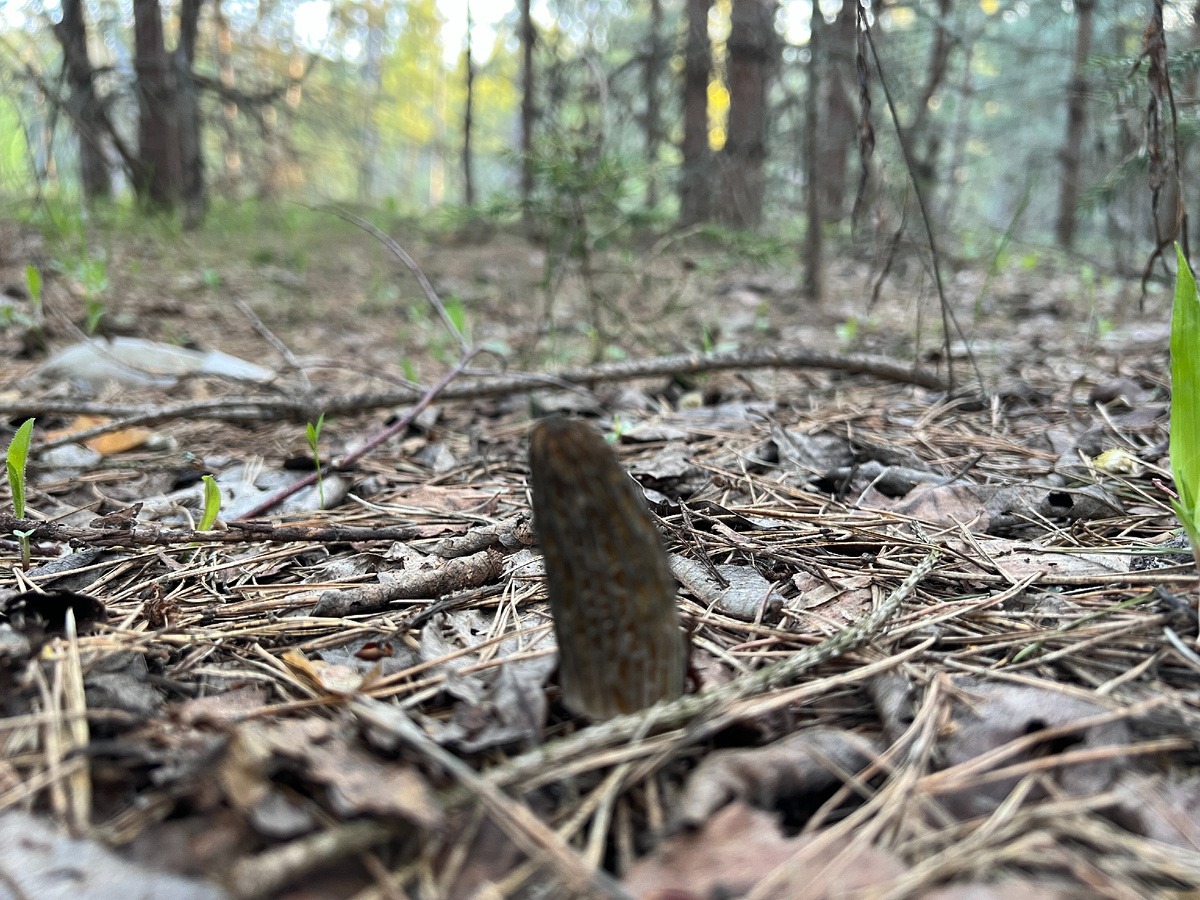 Фото автора 26.04.25