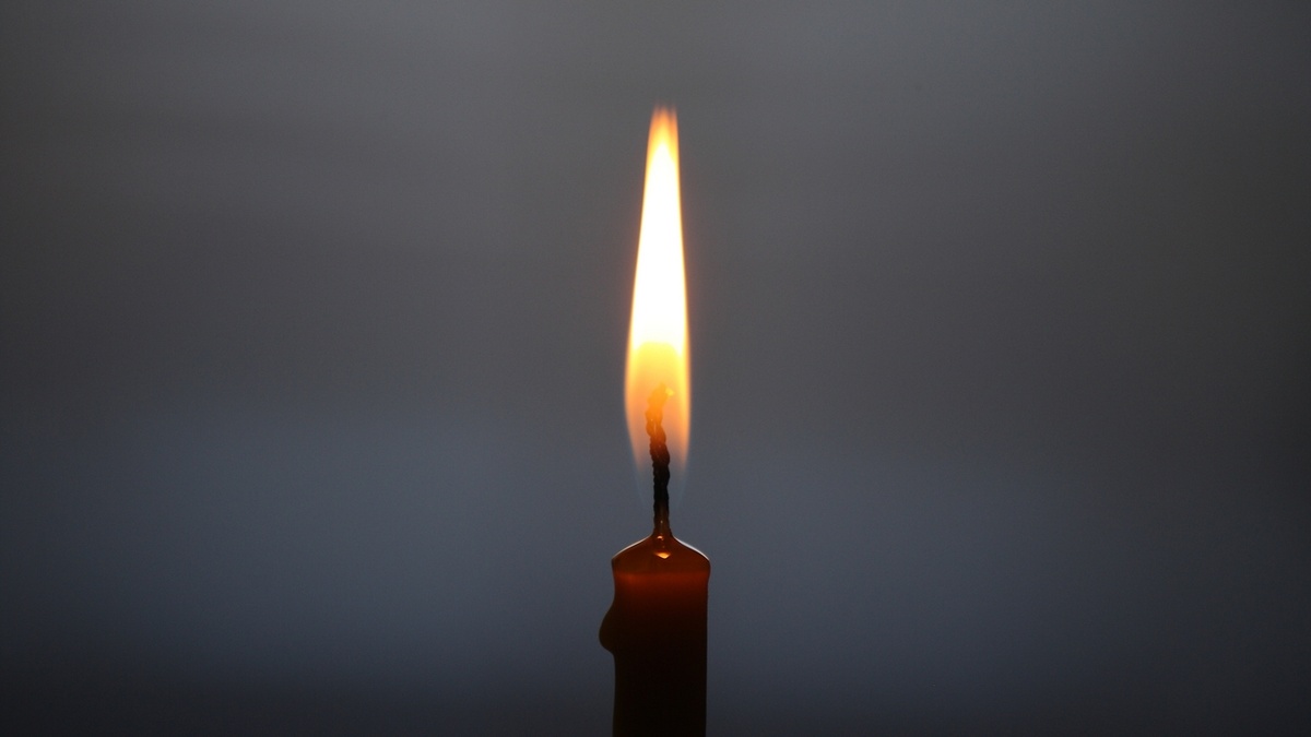     / Источник: Анна Рыжкова © ИА REGNUM