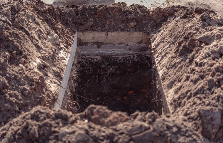    Shutterstock/FOTODOM