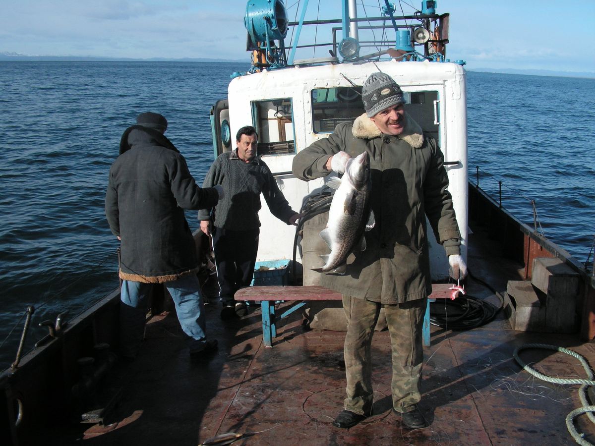 Рыбалка в Авачинском заливе.