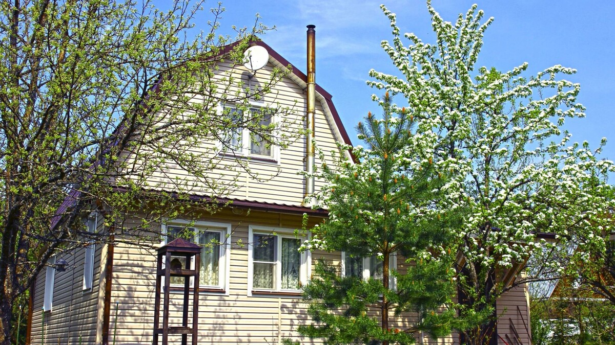    Фото: Kingarion/Shutterstock/Fotodom