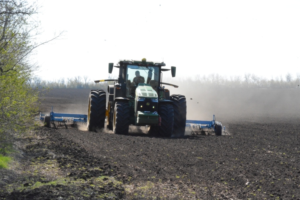   Фото: Е. Антонова. Елена Антонова