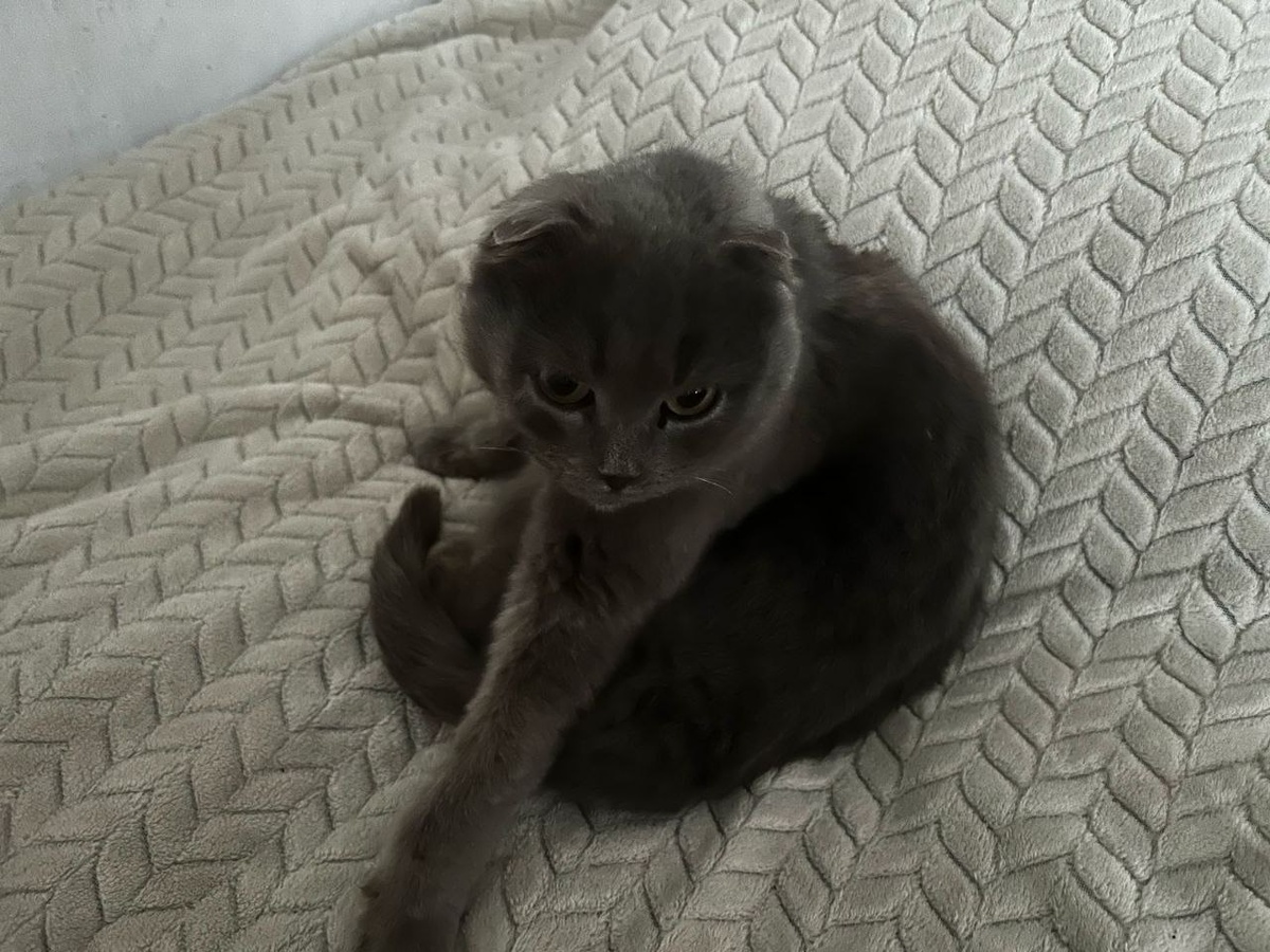 А мы там и лавочке иногда рады, лишь бы не прогнали