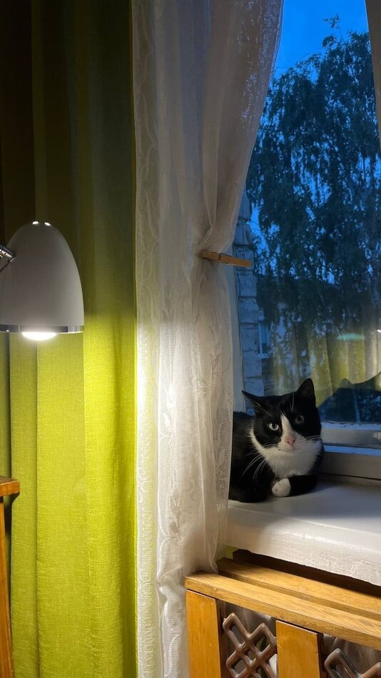 Листайте вправо, чтобы увидеть больше изображений