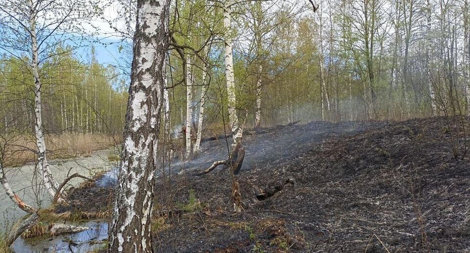    Комитет лесного хозяйства Московской области