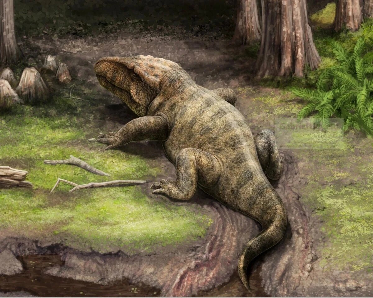 Гученгозух отдыхает. 