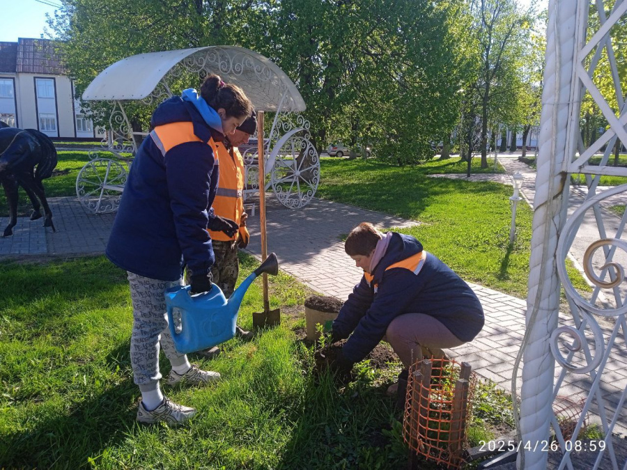     Работники Копыльского ЖКХ продолжают работу по озеленению города