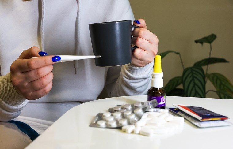    Наталья Шатохина/NEWS.ru