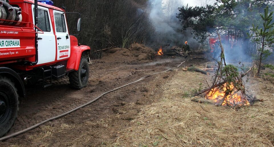    Медиасток.рф