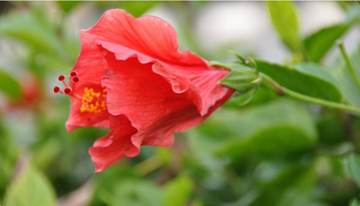 Не знаю, какую придумать обложку для статьи.