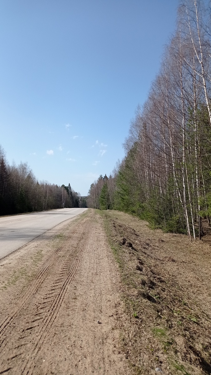 К маме поехали за Ангелиной. Мирон в садике был.