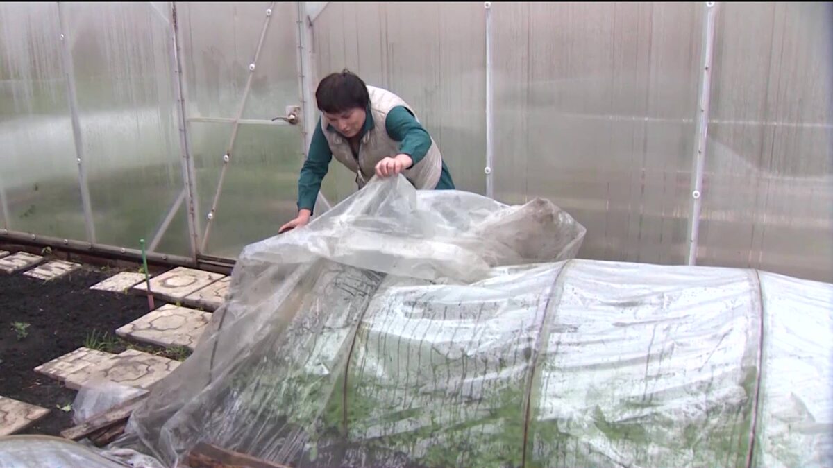    Жителей Башкортостана предупредили о надвигающихся заморозках и мокром снеге