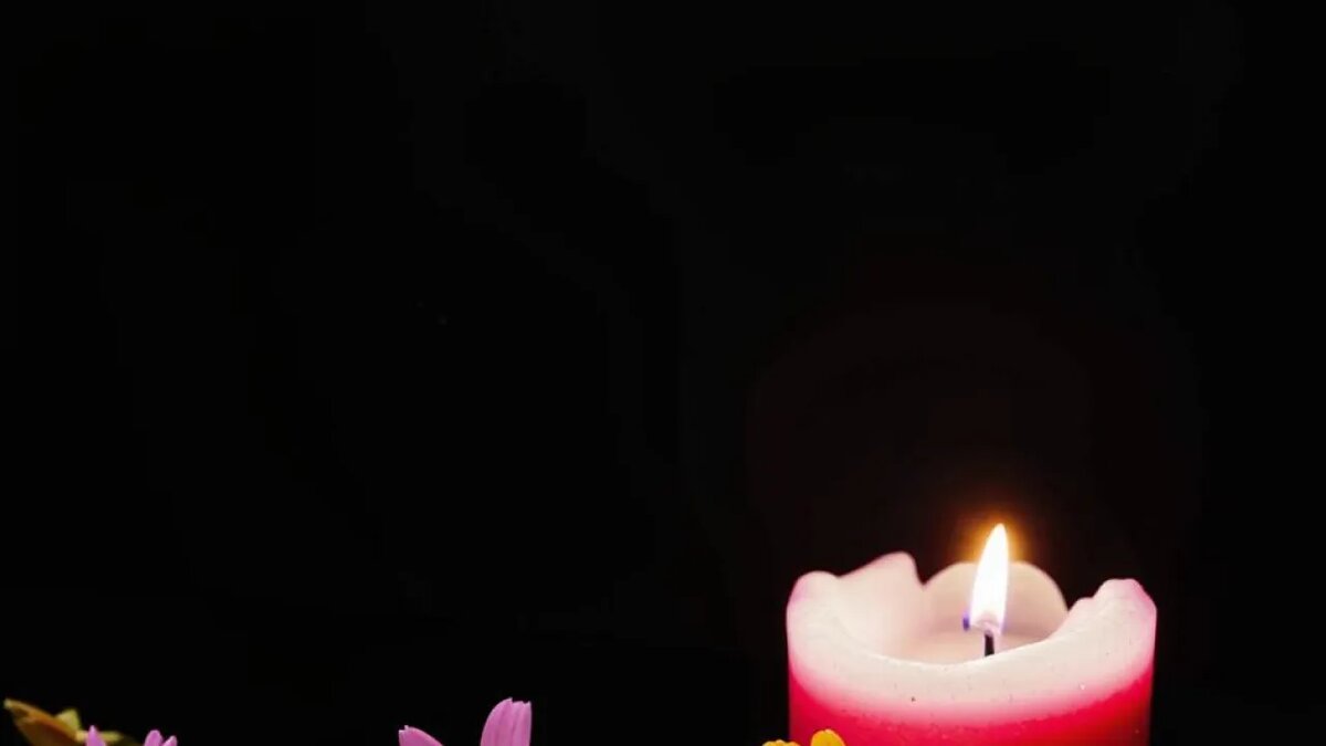    Сгенерировано ИИ