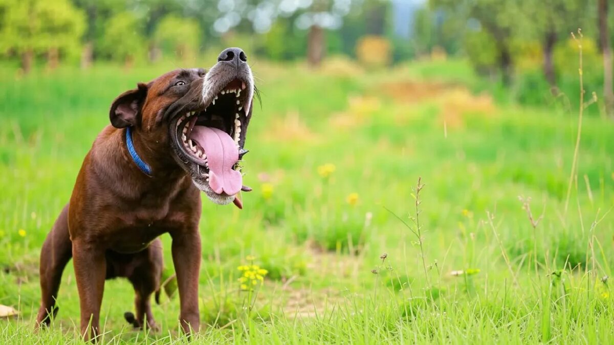   Сгенерировано ИИ