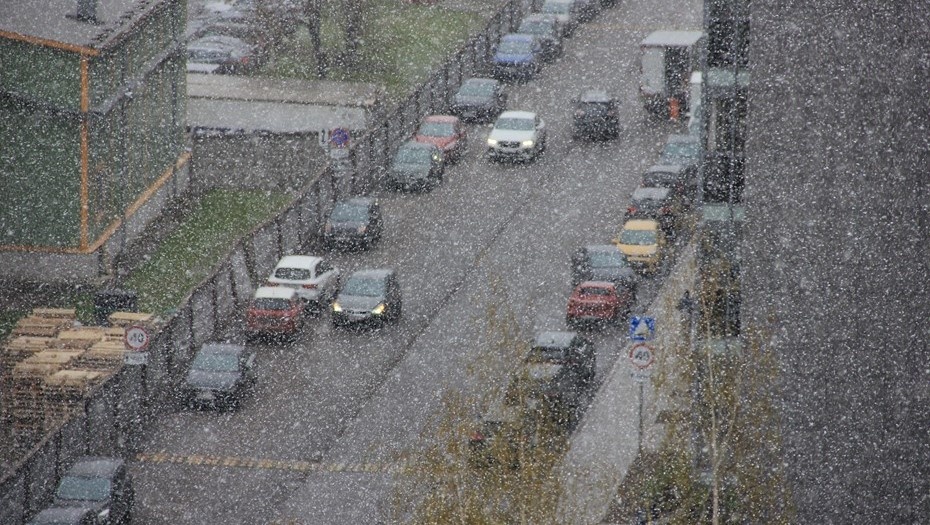   Снегопад на юге Петербурга 26 апреля. Автор фото: Ксения Ерохина/ДП