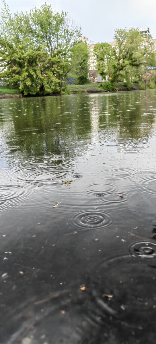 Городской парк