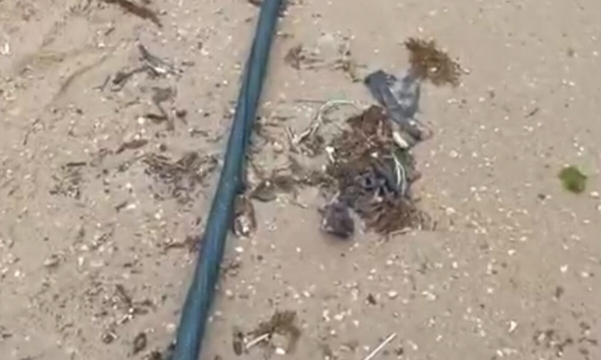    Фото t.me/opershtab23