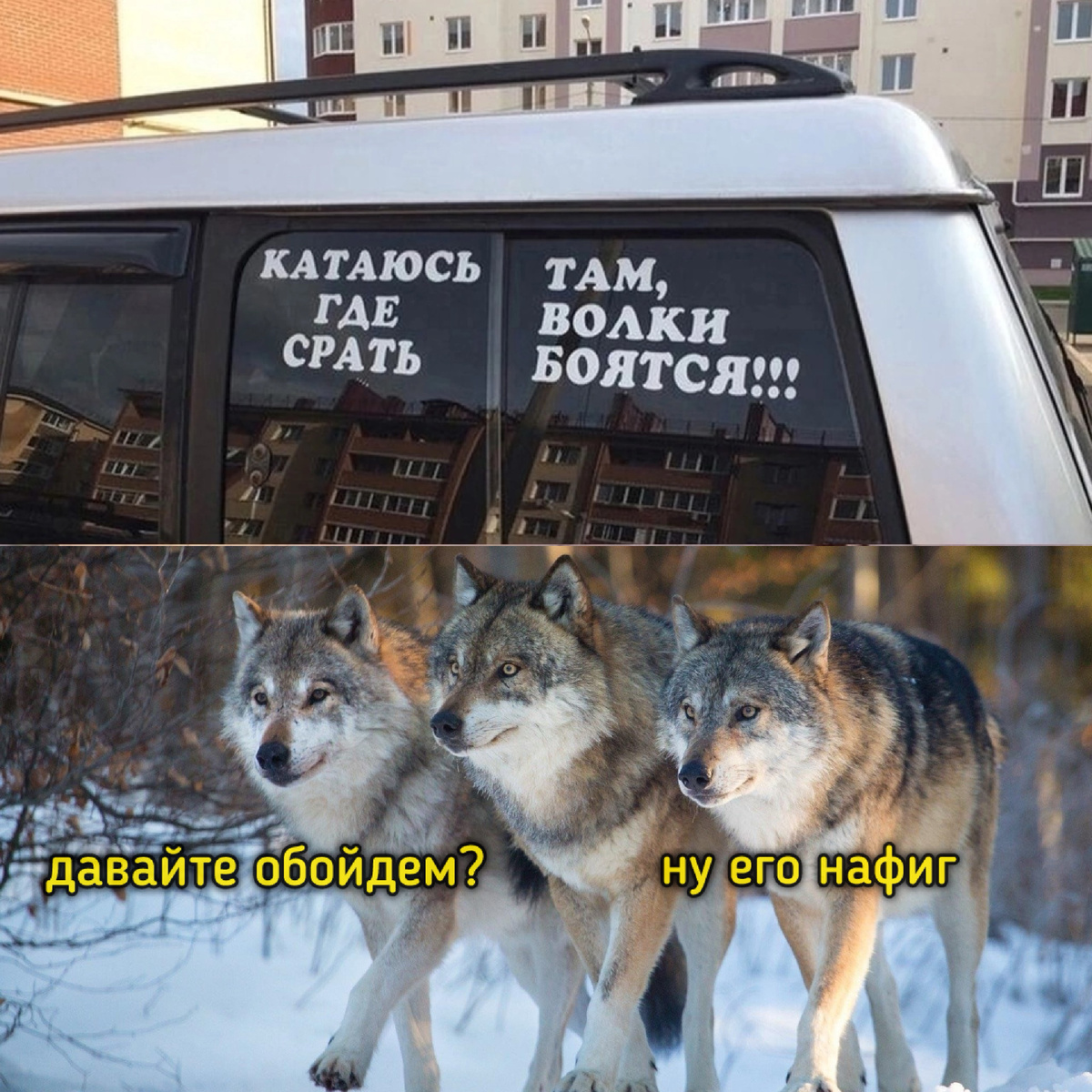 https://avatars.dzeninfra.ru/get-zen_doc/271828/pub_680cc79d8ea03f567548f136_680cc8b88d1cc4267c5c73e7/scale_1200
