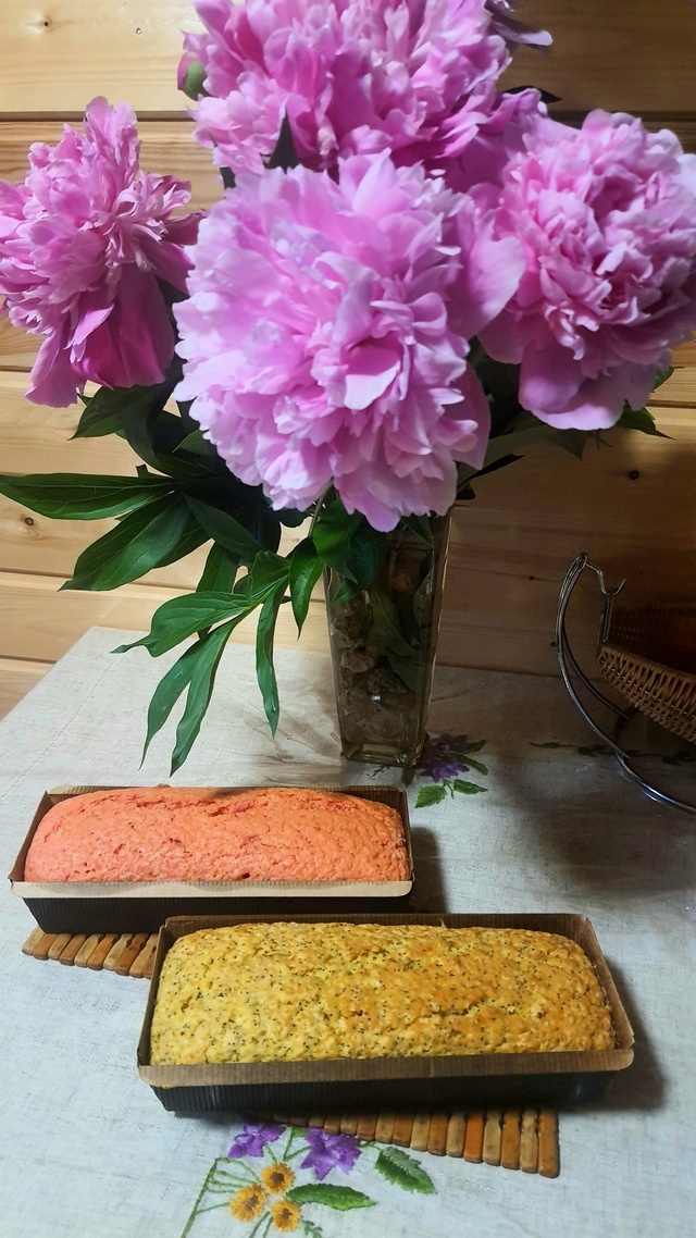 Пионы тоже от соседей. Свои я пока не успела вырастить.