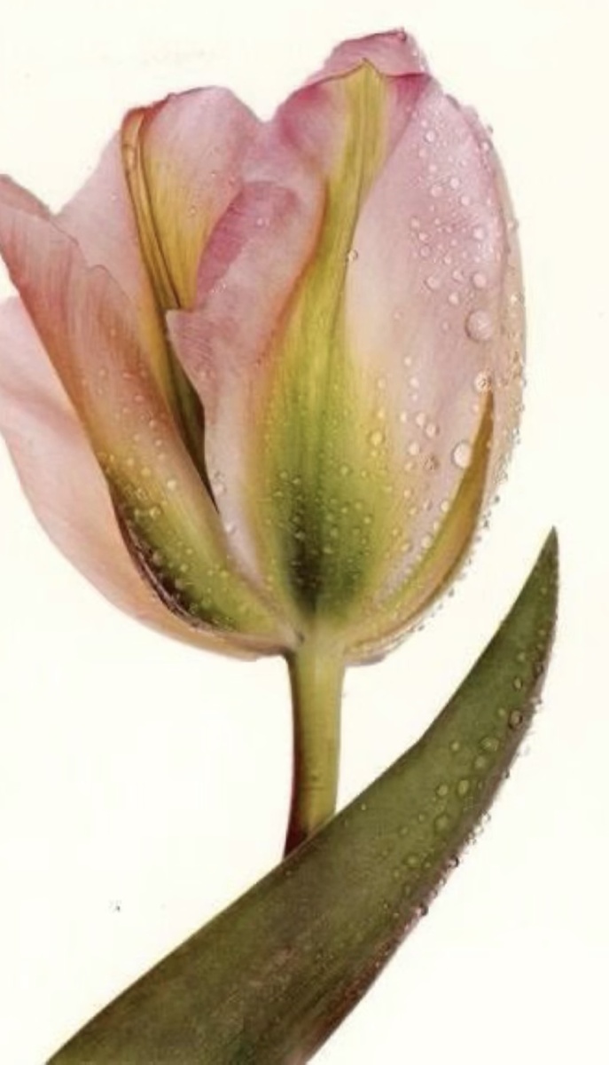 Делаем легкий эскиз