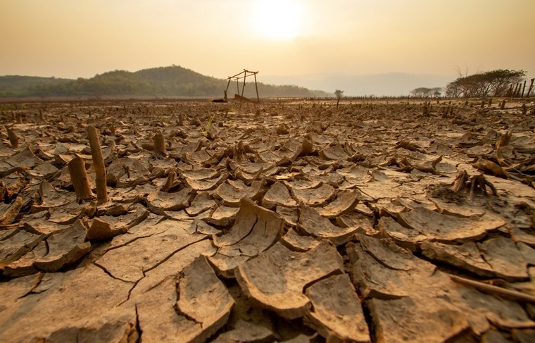    Shutterstock/FOTODOM